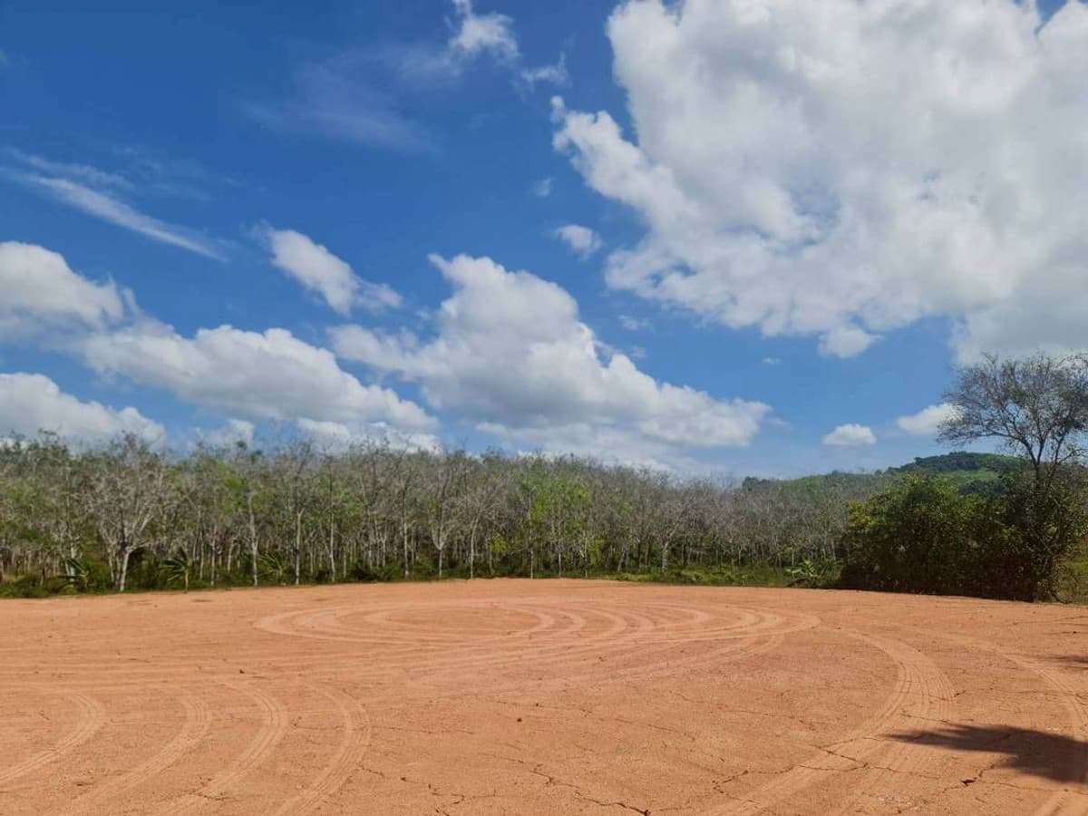 Want to sell empty land, area 7 rai 3 ngan 35 square wah, Mai Khao Subdistrict, Mueang District, Phuket Province (Sell Land 7-3-35 Rai, Near Mai Khao beach 55 Mbaht or 8 Mbaht/Rai) - Agent Top 084-8751655