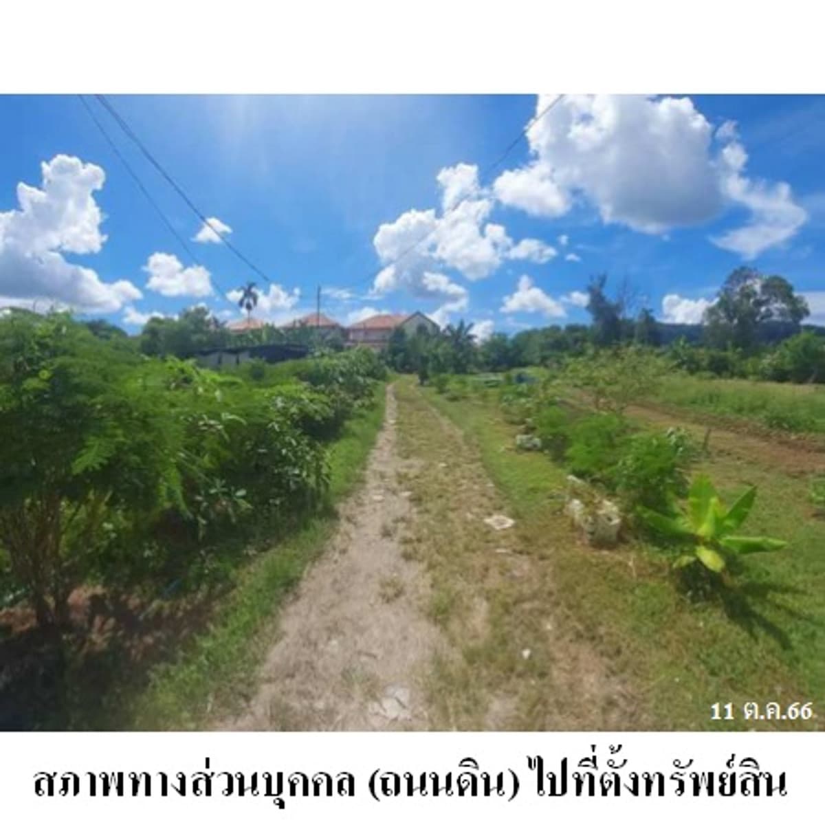 Land for sale, Mueang District, Phuket. - image 6