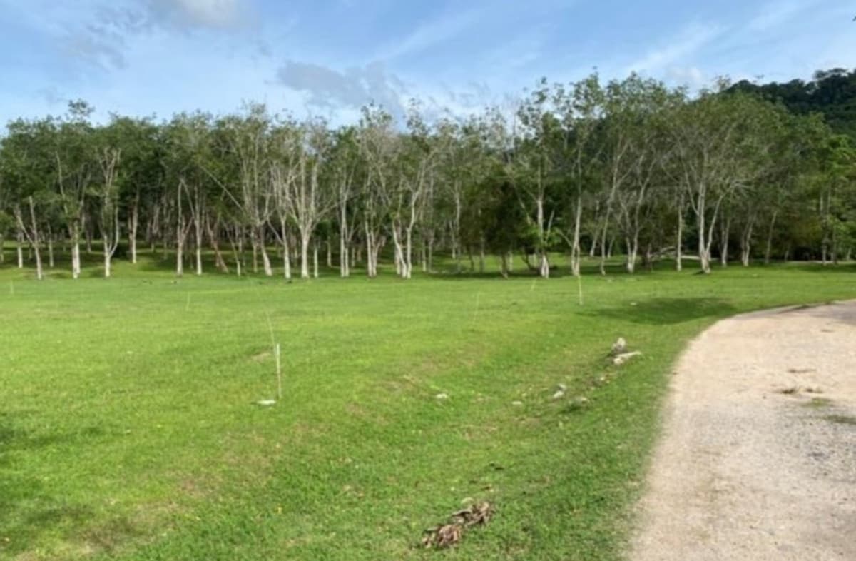 Large plot of vacant land, Phuket Province, many plots and many locations. - image 4