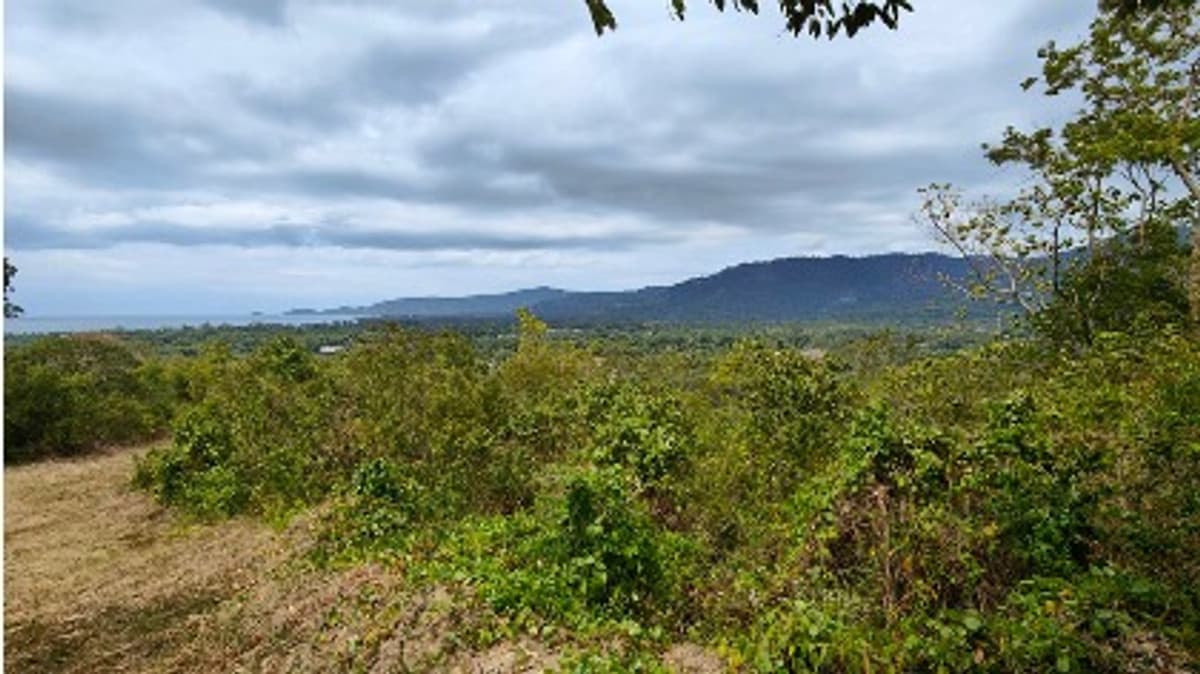Prime 251-Rai Land for Sale in Ratsada, Phuket| Ocean & Mountain Views, Ideal for Mega-Project Development - image 4