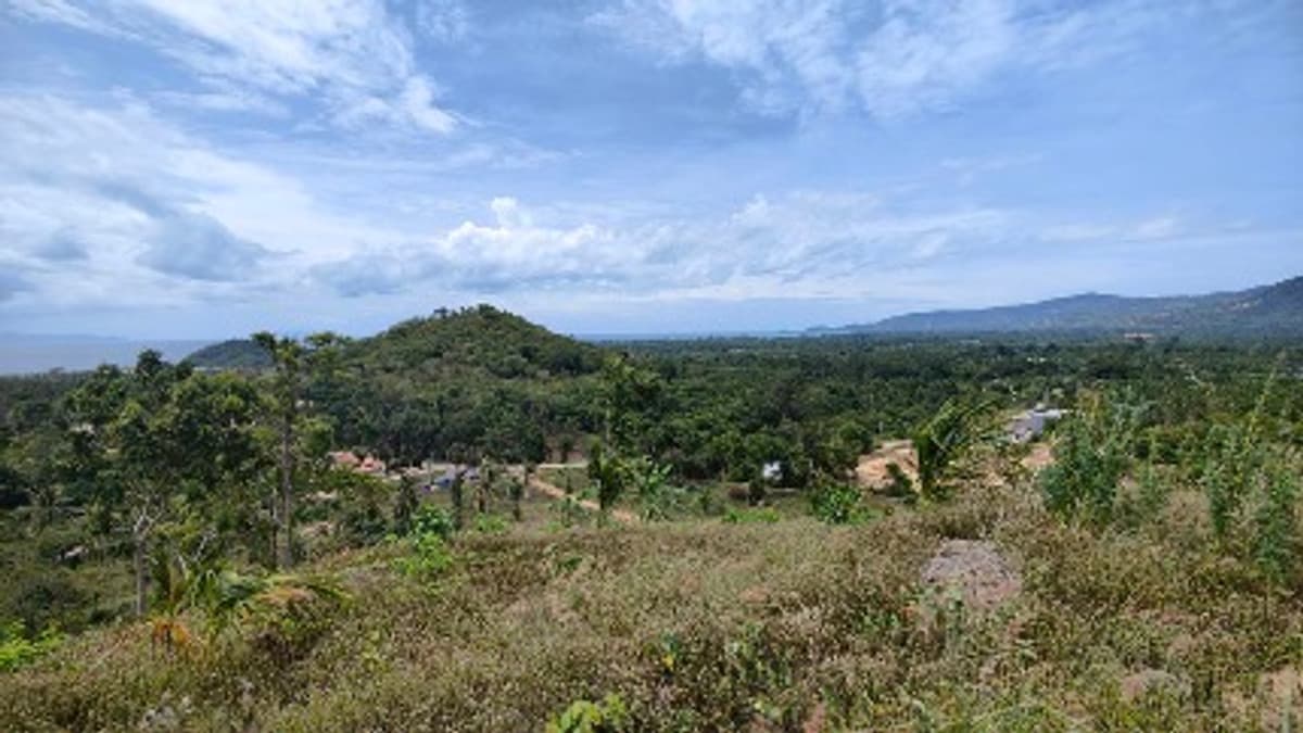 Prime 251-Rai Land for Sale in Ratsada, Phuket| Ocean & Mountain Views, Ideal for Mega-Project Development - image 5