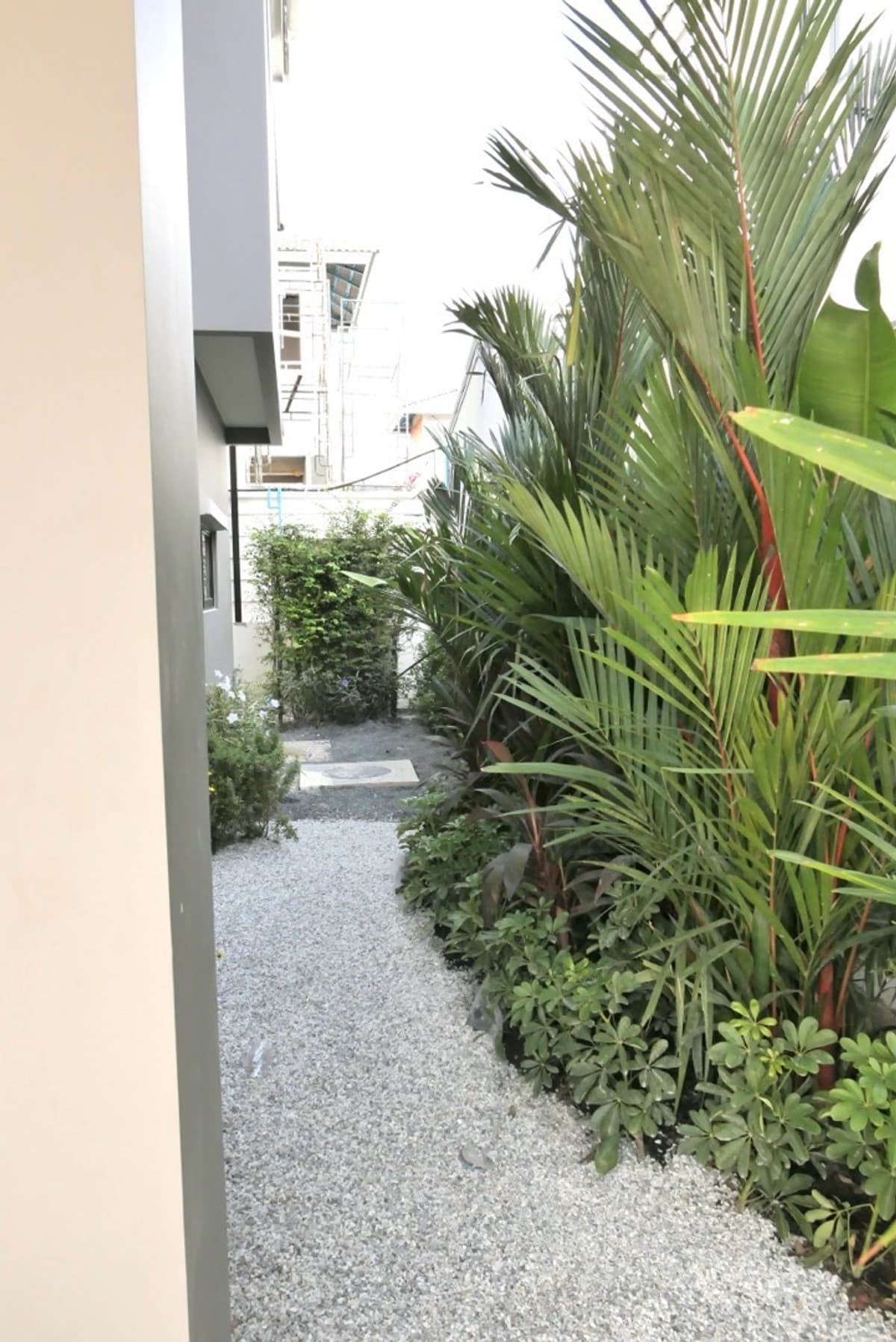 tropical garden villa for rent and for sale in phuket - image 4