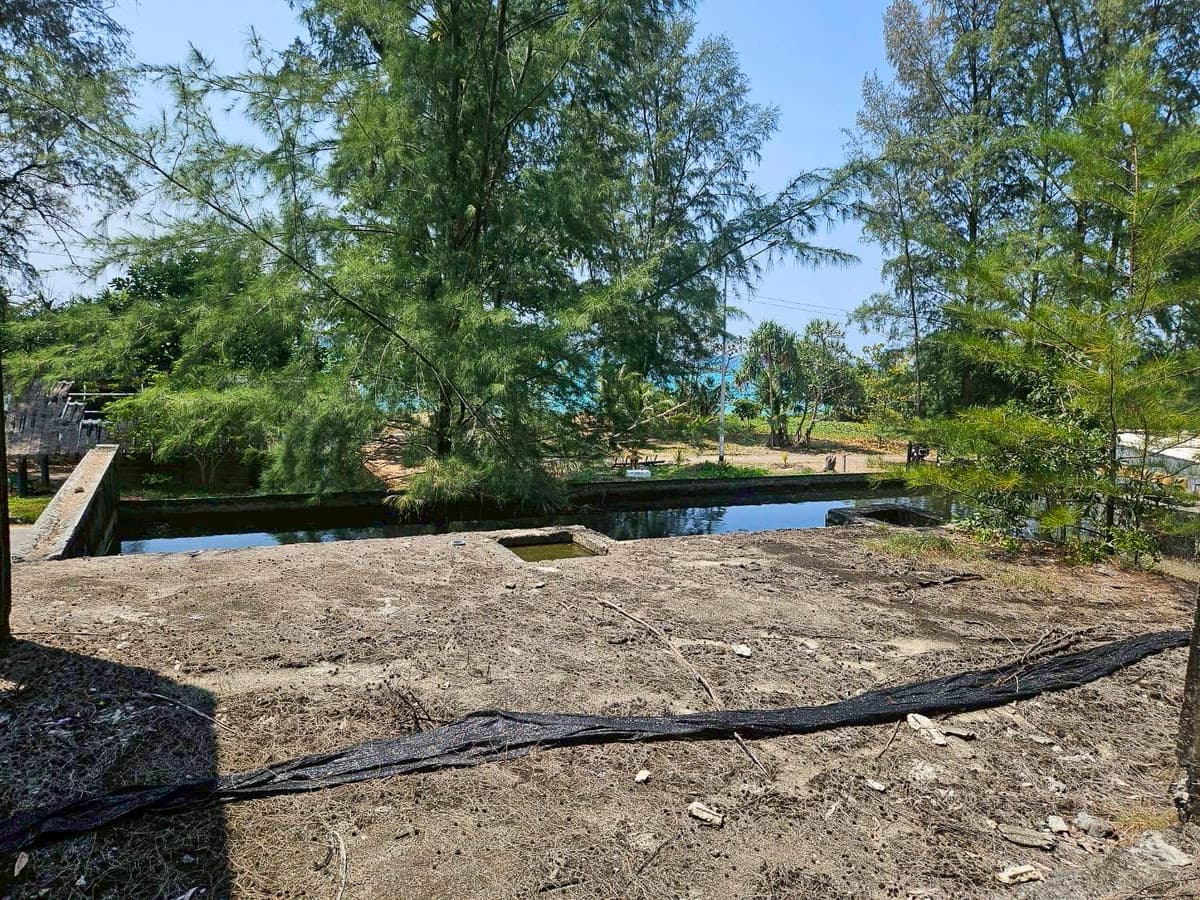 Land for sale in Phuket, Mai Khao Beach, with unfinished building, 2 rai 1 ngan. - image 5