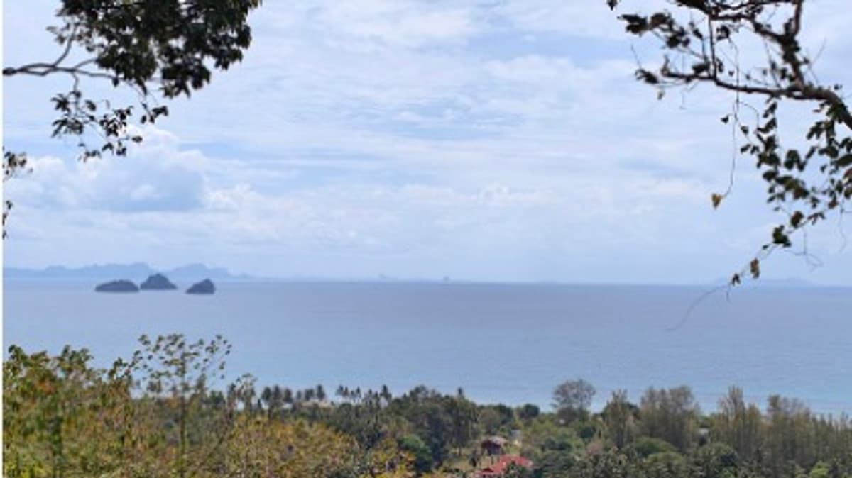 Prime 251-Rai Land for Sale in Ratsada, Phuket| Ocean & Mountain Views, Ideal for Mega-Project Development - image 3