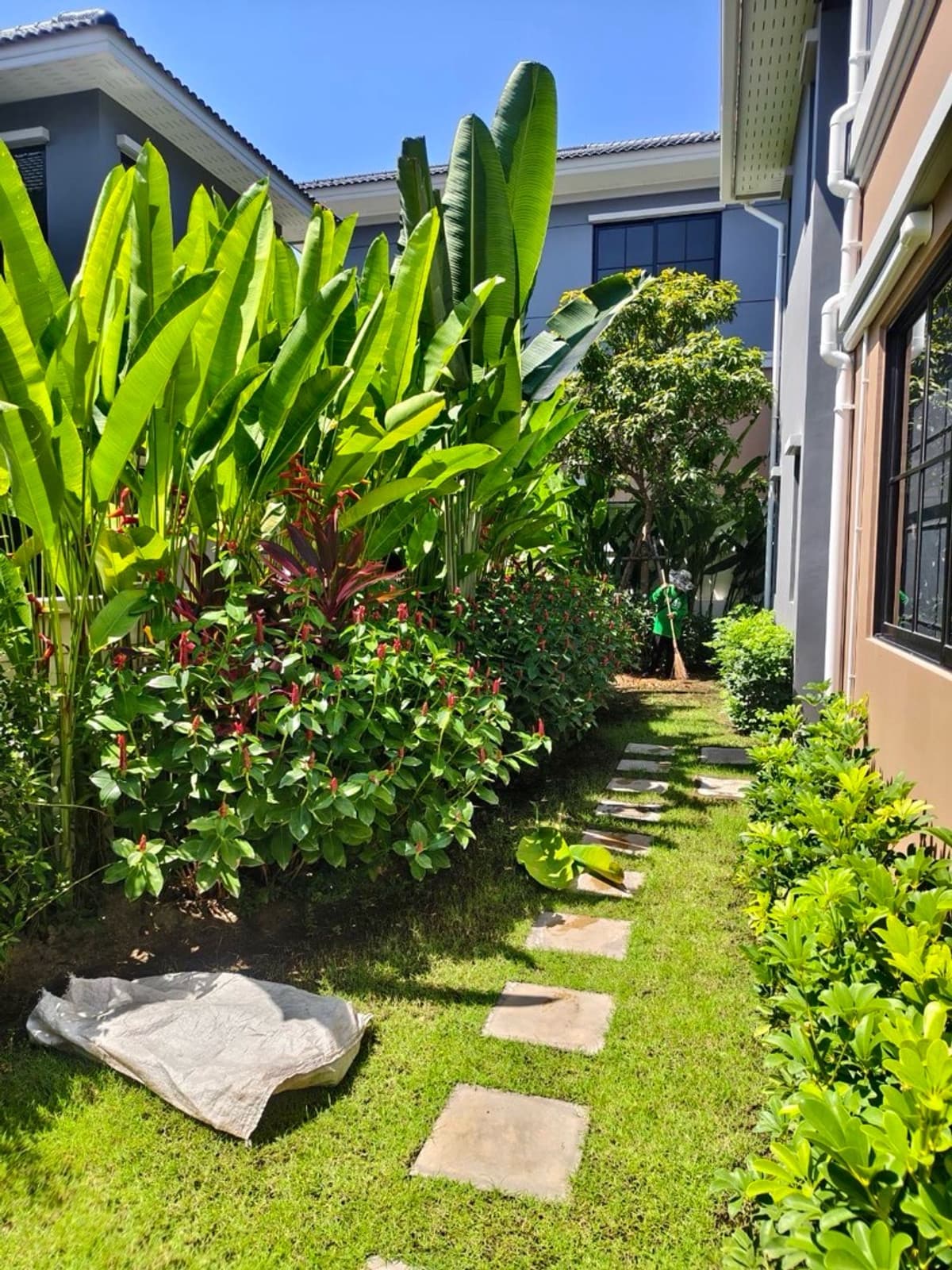 tropical garden villa for rent and for sale in phuket - image 2