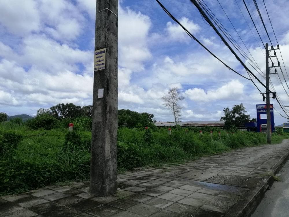 Land for sale in Thalang, Phuket, close to HomePro. Next to Thepkasattri Road, area 66 rai than Land for sale in phuket near Homepro thalang - image 6