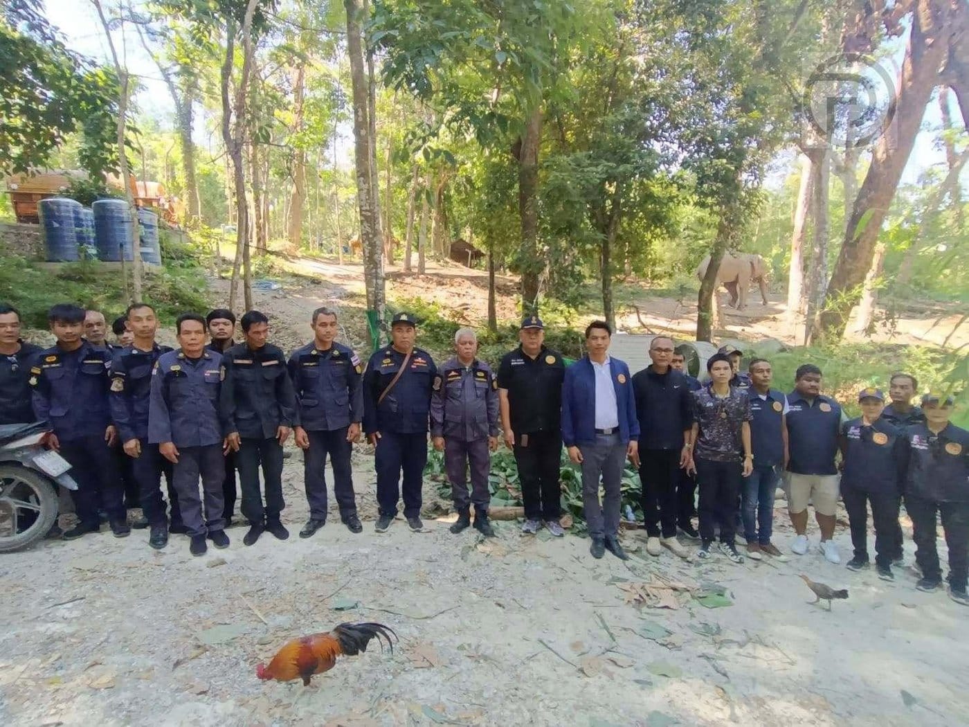 Crackdown on Forest Encroachment at Phuket’s Freedom Beach
