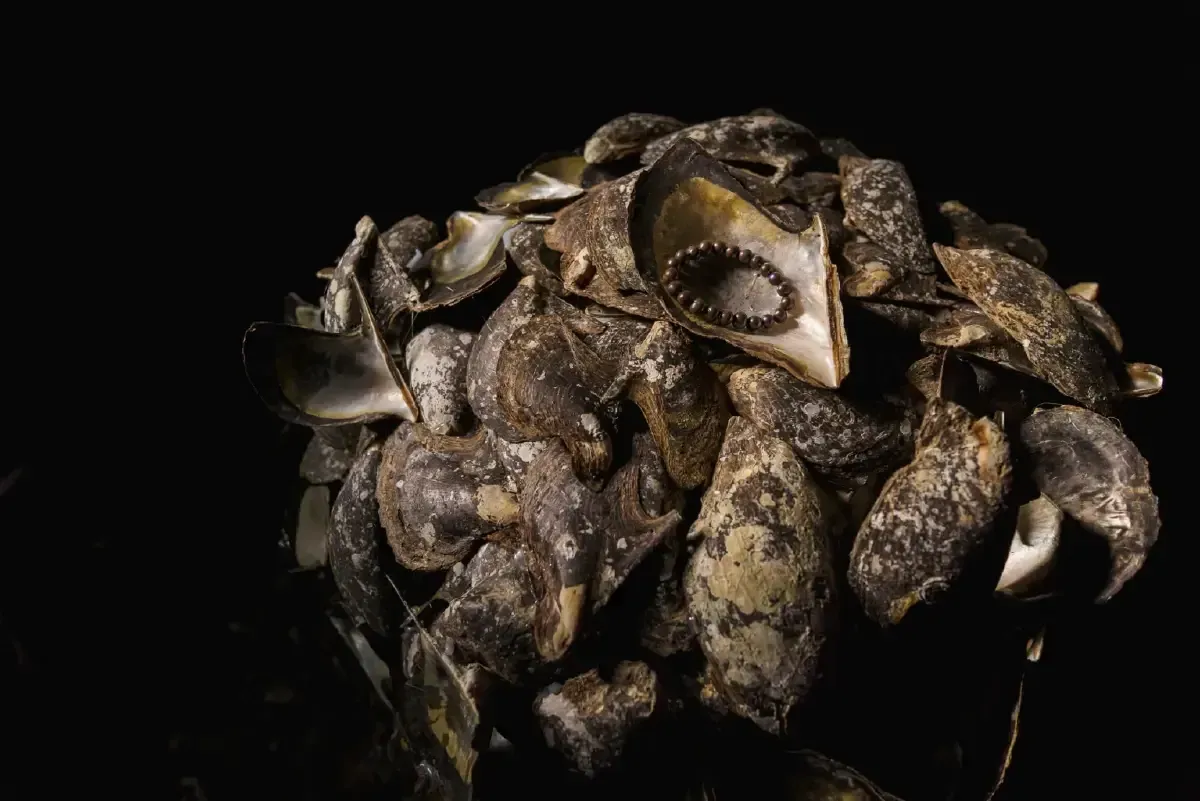 โค้งสุดท้าย Thailand Biennale, Phuket 2025 ก่อนปิดม่านเมืองภูเก็ต