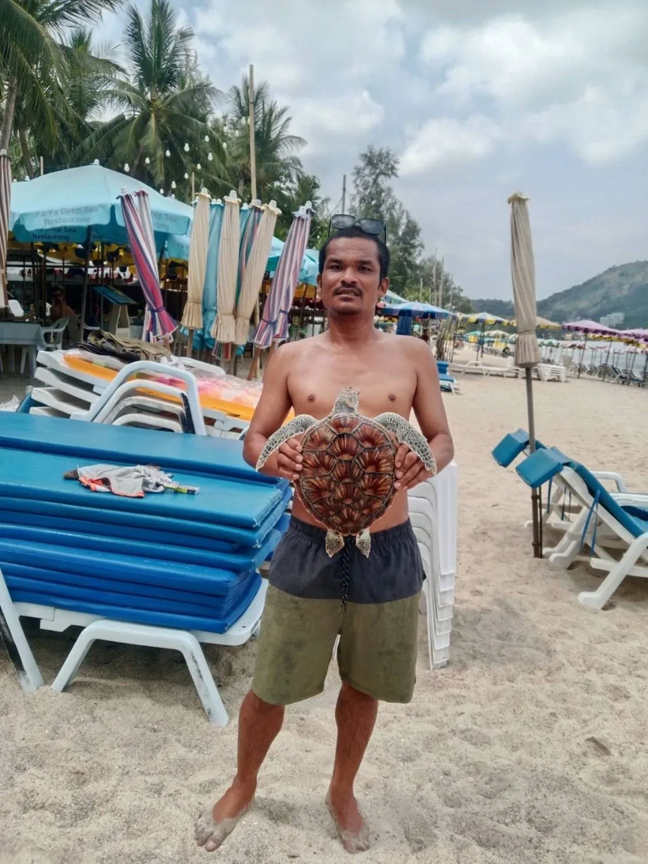 Rare Green Sea Turtle Found Washed Ashore at Kamala Beach in | Phuket