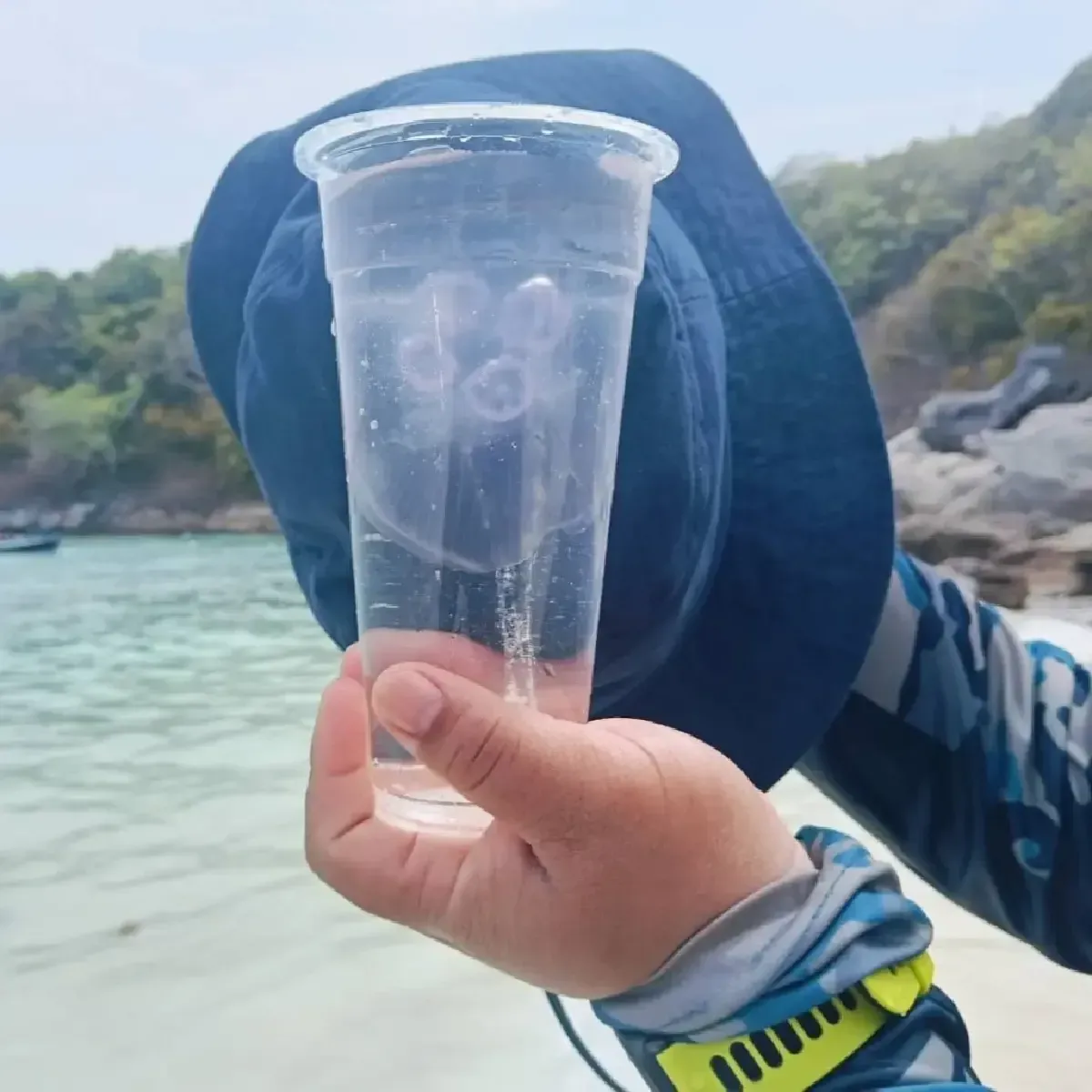 ไปทะเล ระวังผื่นคัน พบแมงกะพรุนพระจันทร์ เกยตื้น เกาะราชา ภูเก็ต