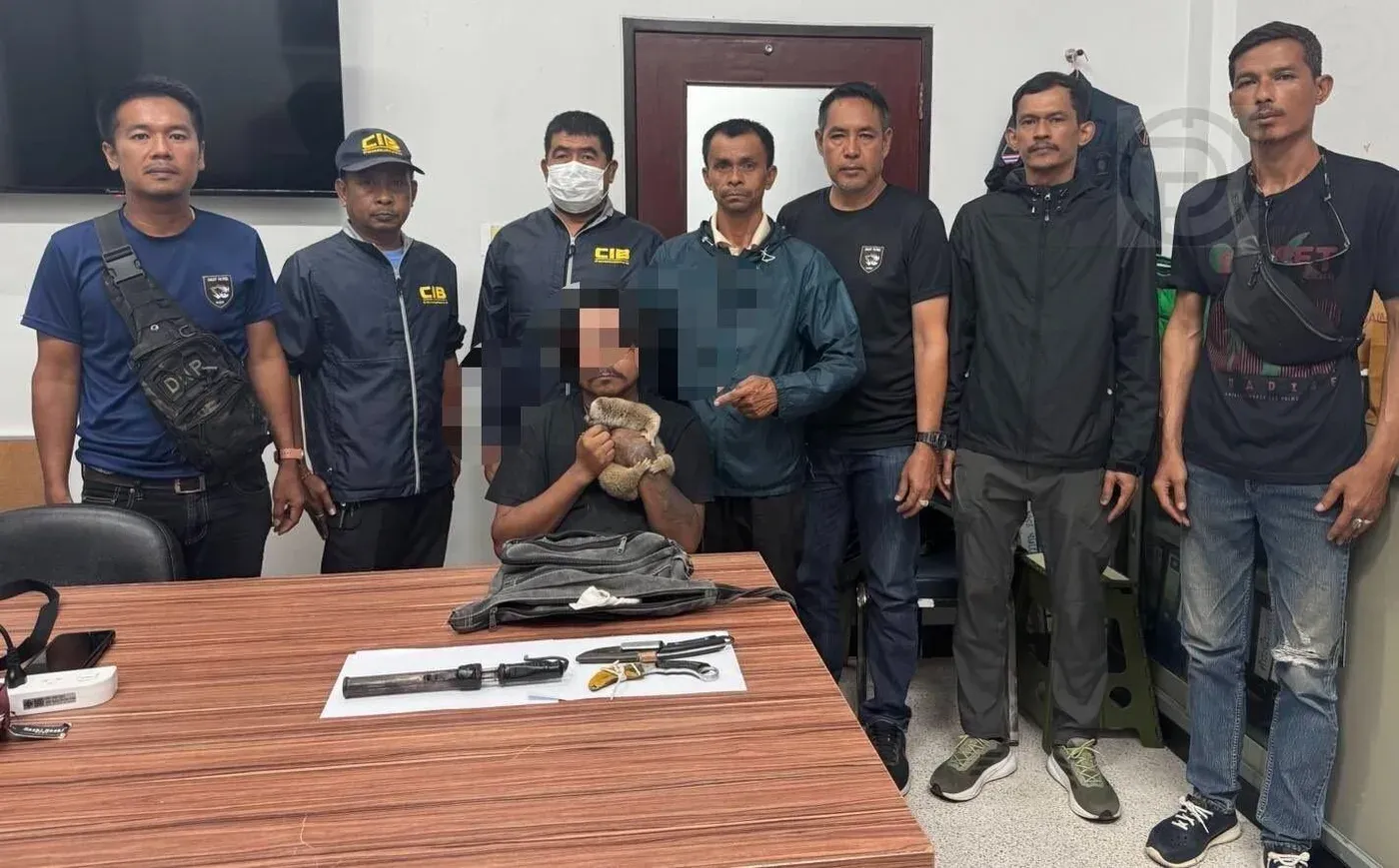 Man Arrested in Karon After Slow Loris Seized in Phuket