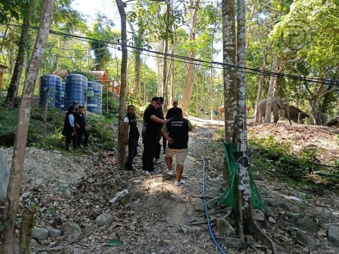 Crackdown on Forest Encroachment at Phuket’s Freedom Beach