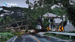 Phuket hit by severe overnight flooding, authorities rush to drain water in key areas