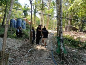 Crackdown on Forest Encroachment at Phuket’s Freedom Beach