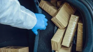 Frenchman wanted for drugs and money laundering arrested in Phuket