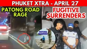 Patong 镰刀威胁、命案嫌犯投案与海藻回归