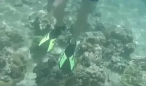 Les autorités engagent des poursuites après qu’un touriste a été filmé en train de marcher sur du corail près de Maya Bay