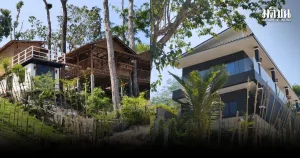 Forest chief seeks transfer after charges in 100-rai Freedom | Phuket