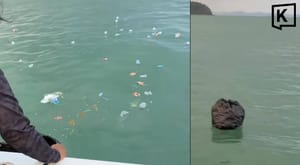 Tour boat crew filmed dumping rubbish off Phuket coast