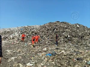 Кризис с отходами на Пхукете выводит систему за пределы возможностей