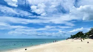 Nominee business crackdown to target Koh Samui and Koh | Phuket