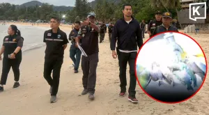 Phuket ने संरक्षित parrotfish पर भाला चलाने के बाद Kata Beach पर गश्त बढ़ाई