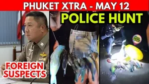 Phuket police hunt spearfishing suspects as foreign crime