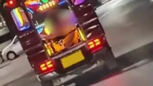 Foreign couple deported after Patong tuk-tuk sex act | Phuket