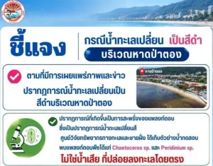 Patong Municipality Says Black Seawater Was Caused by Non-Toxic Plankton Bloom
