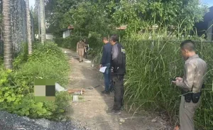Phuket police arrest two Myanmar men over killing near abandoned hotel in Cherng Talay