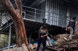 Phuket police arrest 64-year-old man over forest encroachment at Khao To Sae