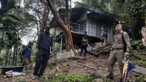 Phuket police pursue 64-year-old man over Monkey Hill forest encroachment