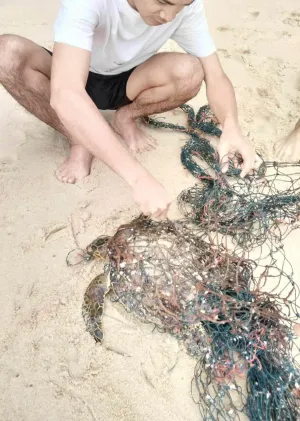 Man rescues sea turtle trapped in fishing net at Phuket’s Layan Beach