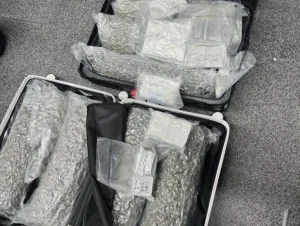 Thai authorities warn travelers after cannabis smuggling arrests at Phuket airport