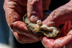 Pearl-farm eco-tourism in Phuket