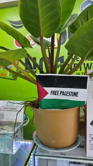 Phuket phone shop owner reports confrontation over ‘Free Palestine’ flag