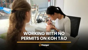 British, Spanish diving instructors caught working illegally on Koh Tao | Thaiger