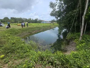 Unidentified man found dead in Thalang pond