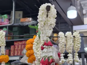 Phuket jasmine prices reach B1,500 per kilogram ahead of National Mother’s Day