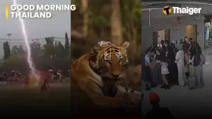 Thailand video news | Lightning strike claims footballer’s life during Narathiwat cup match, Sanctuary worker killed in suspected tiger attack | Thaiger