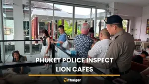 Phuket police find no new lion attack after viral photo