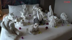 Patong hotel turns returning guest’s towel request into animal display