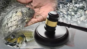 Court rejects damages bid against CPF over blackchin tilapia