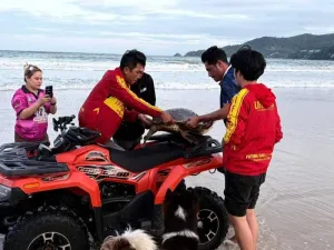 Patong Lifeguards