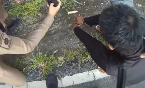 Man dies after stabbing in Wichit; suspect confesses