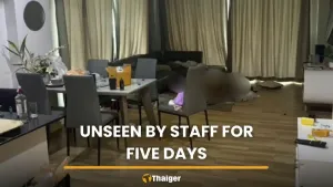 American tourist found dead in Phuket hotel room | Thaiger