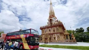 Elephant GoGo Phuket