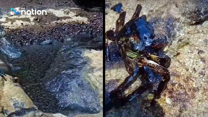Fears grow as oil slick from sunken cargo ship threatens marine life and Phuket tourism