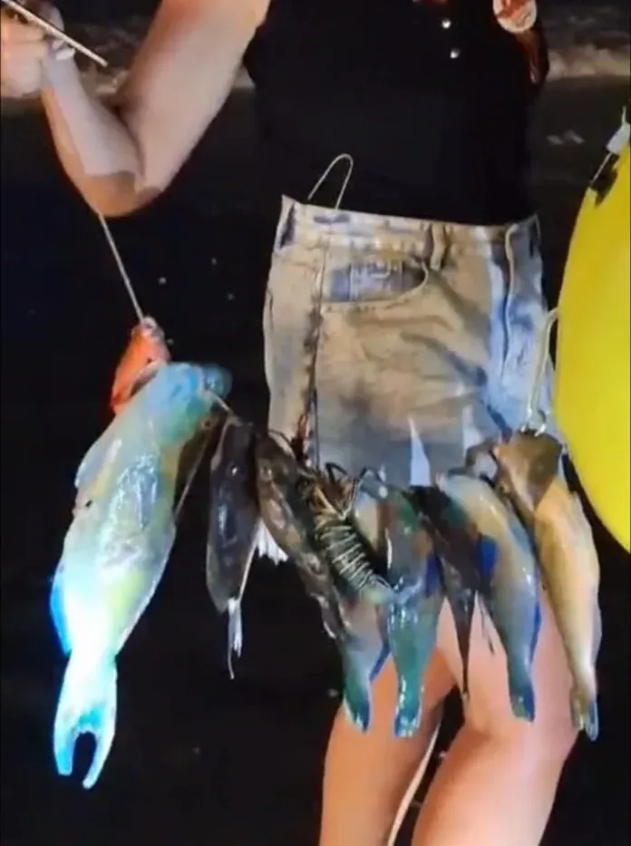 Chinese Tourists Accused of Spearfishing Protected Parrotfish | Phuket