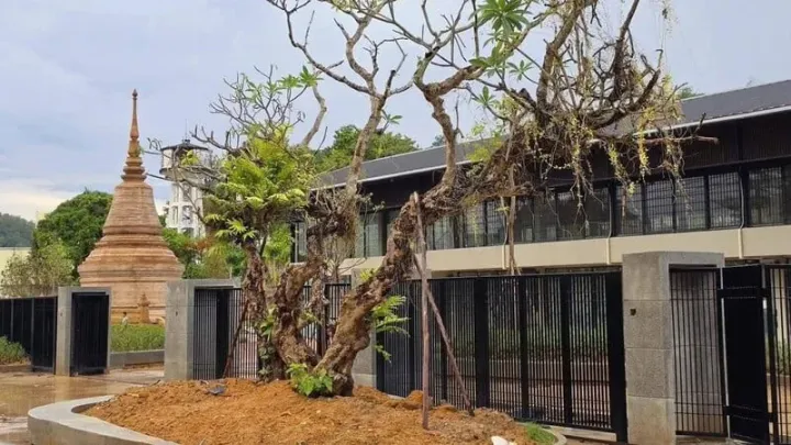 Phuket Town ‘Prison Park’ project continues, opening targeted for mid-2026